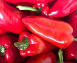 ARDEI CAPIA REDPIA F1