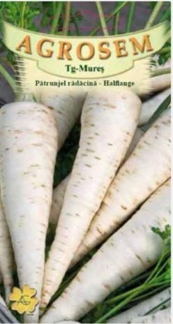 PĂTRUNJEL DE RADACINĂ SI FRUNZE HALFLANGE