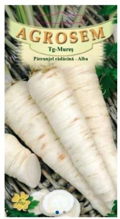 PĂTRUNJEL DE RADACINĂ SI FRUNZE ALBA