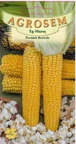 „„PORUMB PENTRU FLORICELE POPCORN