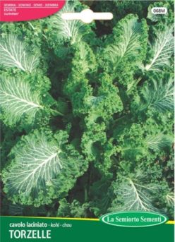 .VARZĂ KALE TORZELLE