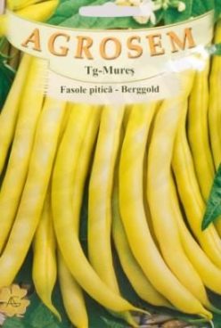 „FASOLE PITICĂ BERGGOLD (100g)