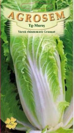 „„VARZA CHINEZEASCÅ GRAANAT