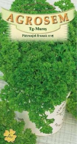 PATRUNJEL DE FRUNZE CRET MOSS CURLED