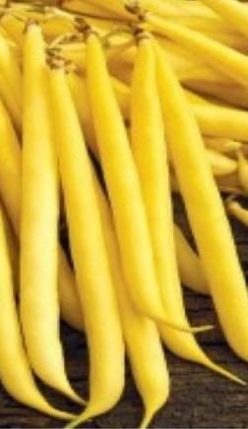 „FASOLE PITICĂ TAMBORA (40g)