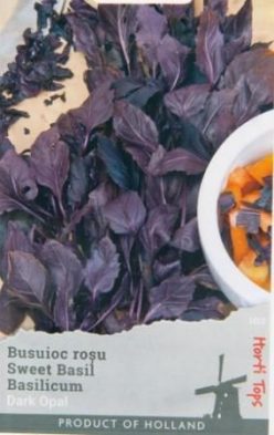 BUSUIOC ROSU DARK OPAL-OLANDA