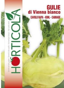 „„GULIOARE Di Vienna Bianco