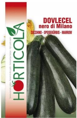.DOVLECEL /ZUCCHINO NERO DI MILANO