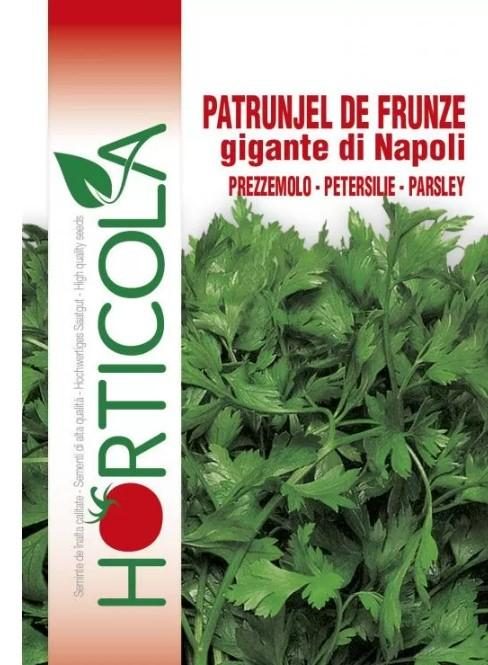 „„PATRUNJEL DE FRUNZE GIGANTE DI NAPOLI