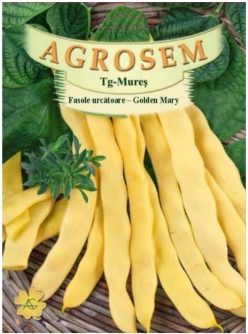 Fasole GOLDEN MARY 10g