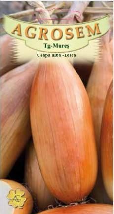„„CEAPĂ  LUNGĂ TOSCA (SEMINTE) Agrosem