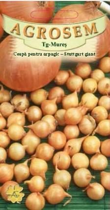 „„CEAPĂ PENTRU ARPAGIC STUTTGART GIANT (SEMINTE) Agrosem