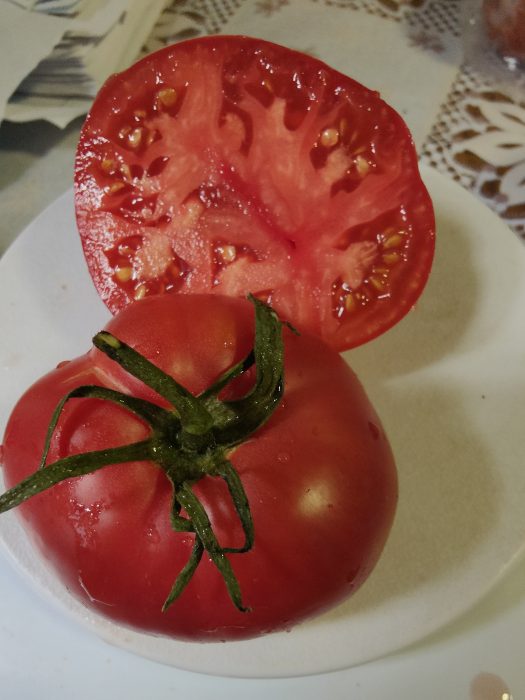 URIASE DE BUZĂU (30s) - imagine 3