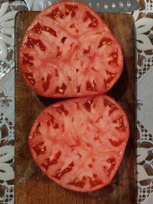 URIASE DE BUZĂU (30s) - imagine 13