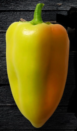 „„ARDEI GRAS ARUM -BUZĂU SCDL (5g)