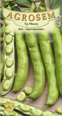 BOB SUPERAGUADULCE(18g)
