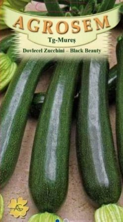 „„DOVLECEI ZUCCHINI BLACK BEAUTY
