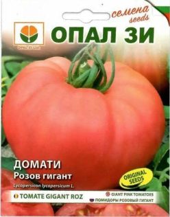 „„GIGANT ROZ BRANDYWINE / ROZOV GIGANT BRANDYWINE -(OPAL ZI-BULGARIA,)