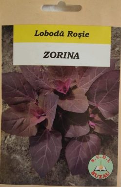 LOBODA ROSIE ZORINA -SCDL BUZĂU (5g)