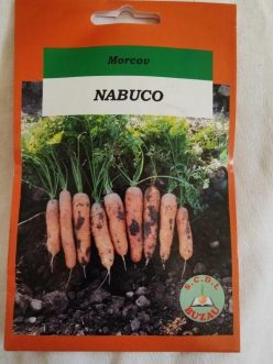 „„MORCOVI NABUCO -BUZĂU SCDL