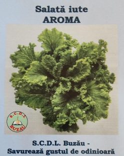 .SALATĂ PICANTĂ AROMA -SCDL Buzău  (5g)