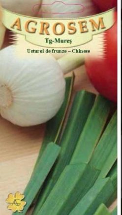 „„USTUROI DE FRUNZE CHINESE