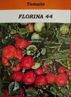 FLORINA 44- SCDL BUZĂU(300s/1g)