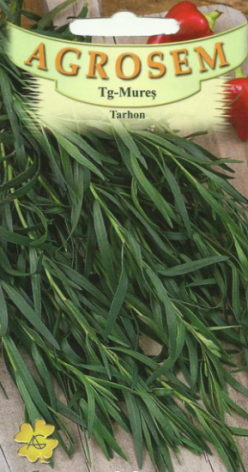 TARHON (Agrosem Tg.Mures)