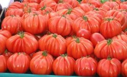 01 OFERTE DE PREȚ-CANTITATE