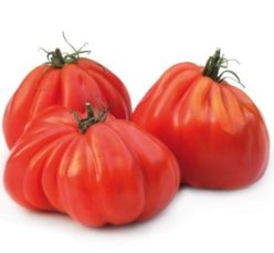 „ARAWAK F1-SYNGENTA