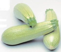 .DOVLECEI PROFESIONALI HIBRID CAVILI F1