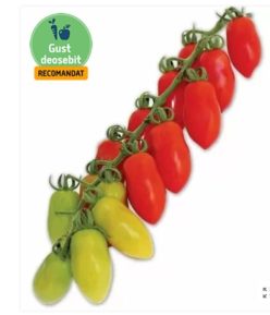 .MARZANINO F1 (PO9135)