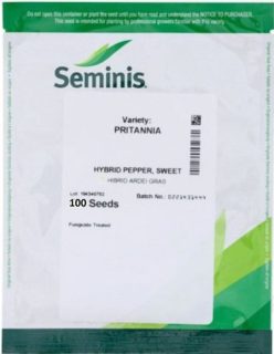 GOGOSARI PRITANNIA F1 (100s)