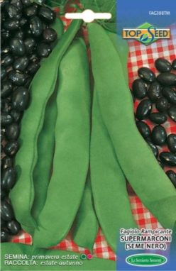 „„Fasole lată, verde , urcătoare, SUPERMARCONI