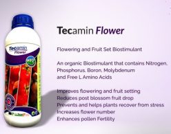 TECAMIN FLOWER-Biostimulator natural (250 ml)