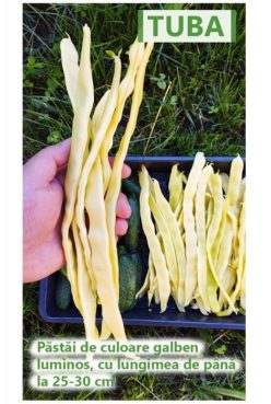 Fasole TUBA (TIP GOLDFIELD) (100 g)