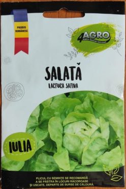 SALATA IULIA