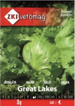 SALATĂ ICEBERG GREAT LAKES