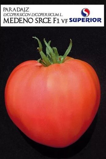 .INIMĂ DE MIERE/MEDENO SRCE F1 (SUPERIOR SEEDS Serbia) 50s - imagine 2