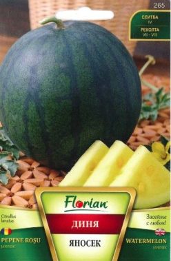 PEPENE CU MIEZ GALBEN JANOSIK (FLORIAN-Bulgaria) (2g)