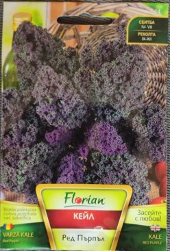 .VARZĂ KALE RED PURPLE (1g.-FLORIAN )