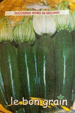 Dovlecei ZUCCHINO NERO DI MILANO