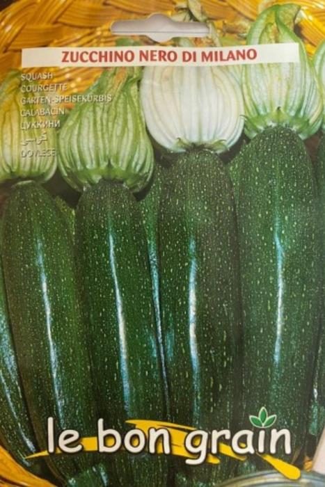 Dovlecei ZUCCHINO NERO DI MILANO