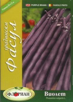 FASOLE PITICĂ MOV PURPLE QUEEN-FLORIAN (50g)