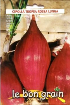 „Ceapă de apă Tropea Rossa Lunga
