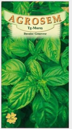 BUSUIOC GENOVESE AGROSEM