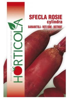 .SFECLĂ ROSIE CYLINDRA (Horticola) 4g