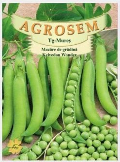 „„MAZĂRE KELVEDON WONDER AGEOSEM (100g)