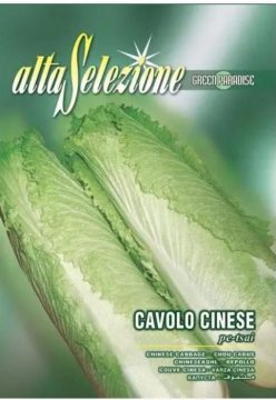 „„VARZĂ CHINEZEASCĂ PE-TSAI