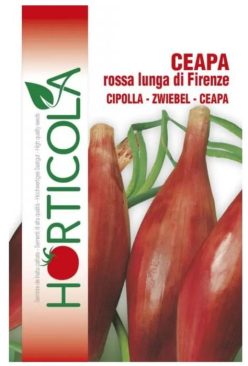 CEAPĂ ROSA LUNGA DI FIRENZE (Horticola) 1g